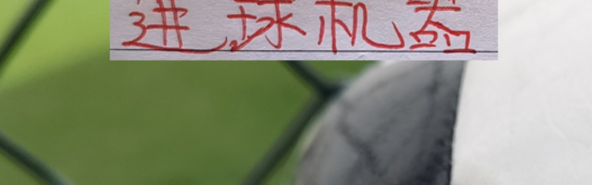 不慌了！海港迎来首胜！武磊有进球 穆帅也是扶正蒯纪闻